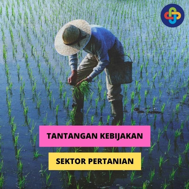 Permasalahan, Tantangan Pengembangan Sektor Pertanian